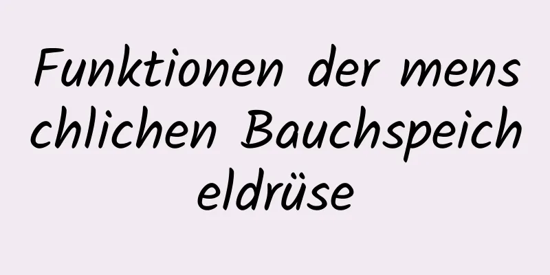 Funktionen der menschlichen Bauchspeicheldrüse