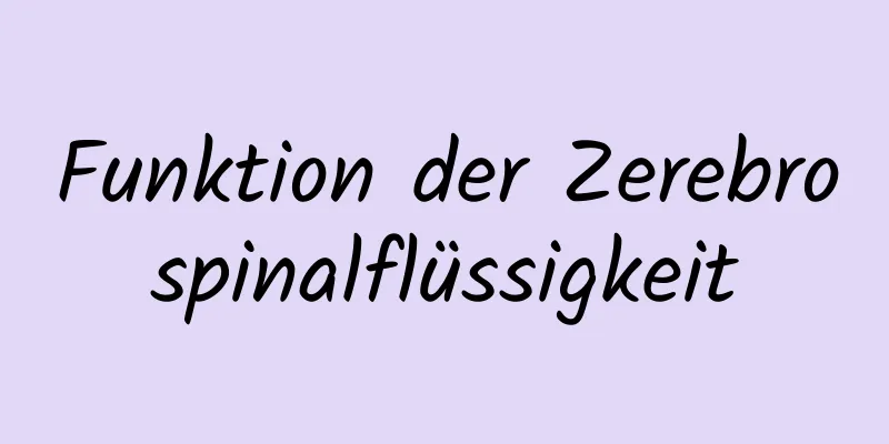 Funktion der Zerebrospinalflüssigkeit