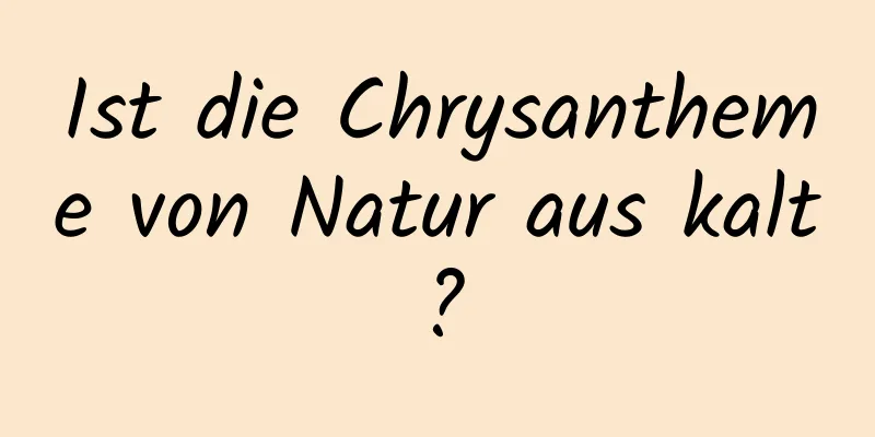 Ist die Chrysantheme von Natur aus kalt?