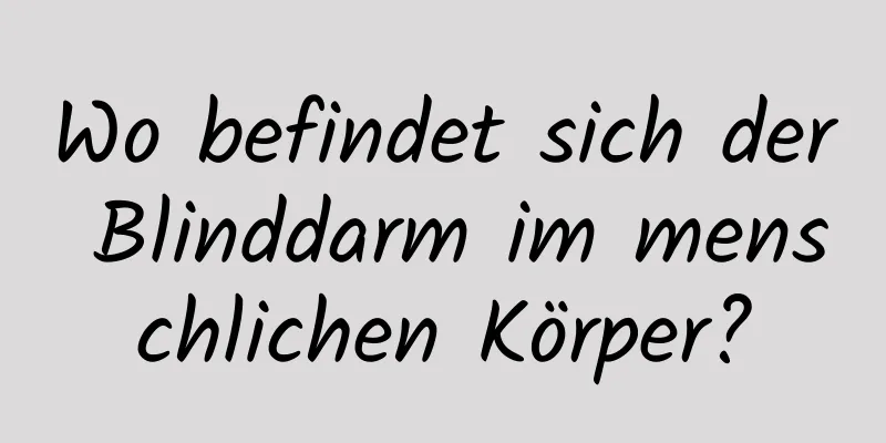 Wo befindet sich der Blinddarm im menschlichen Körper?