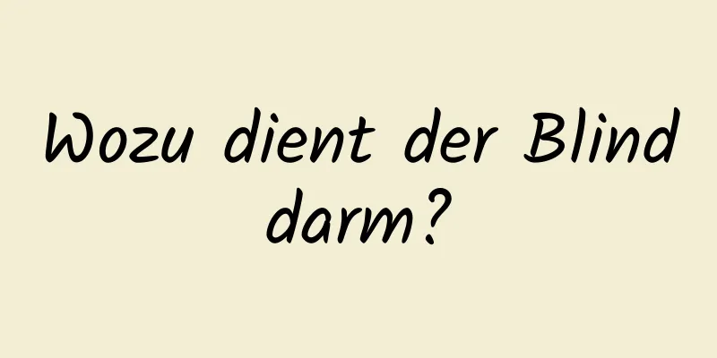 Wozu dient der Blinddarm?