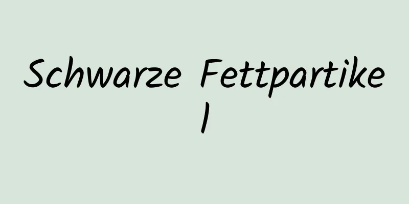 Schwarze Fettpartikel