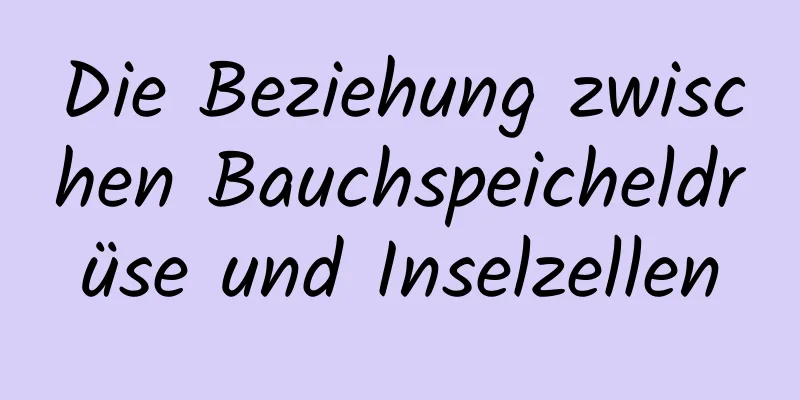 Die Beziehung zwischen Bauchspeicheldrüse und Inselzellen
