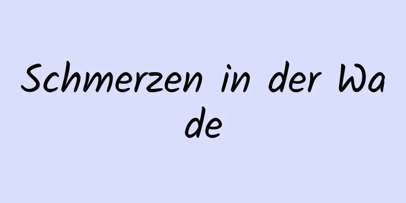 Schmerzen in der Wade