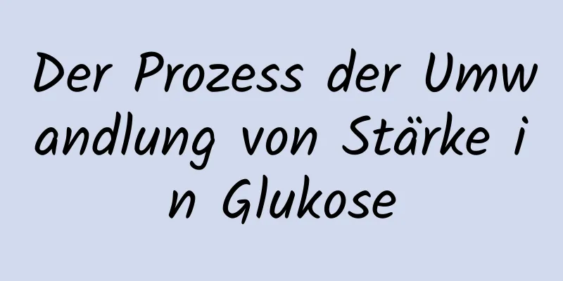 Der Prozess der Umwandlung von Stärke in Glukose