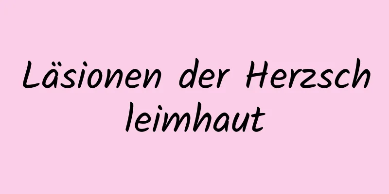 Läsionen der Herzschleimhaut