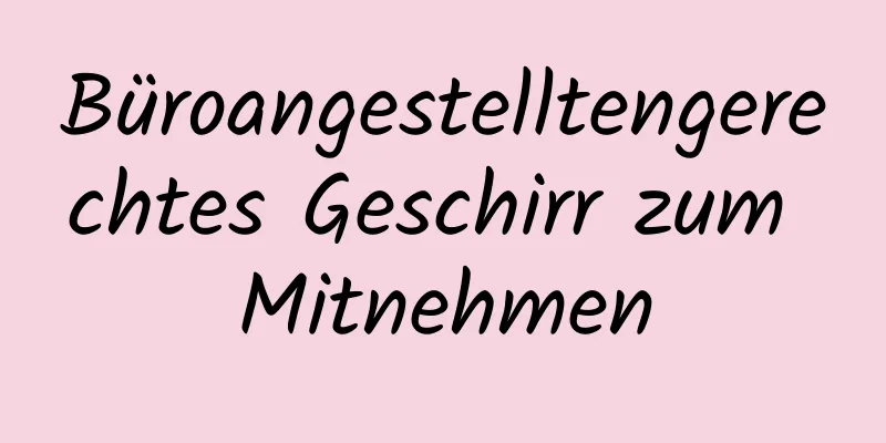 Büroangestelltengerechtes Geschirr zum Mitnehmen