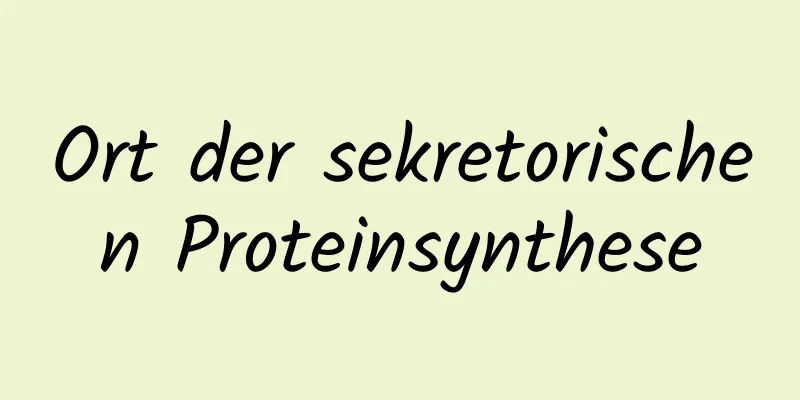 Ort der sekretorischen Proteinsynthese