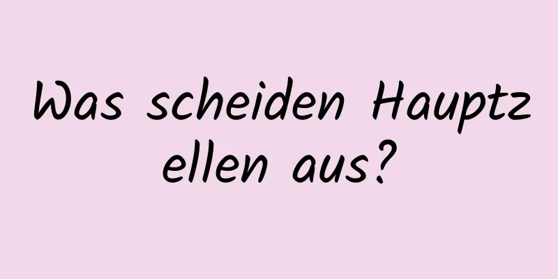 Was scheiden Hauptzellen aus?