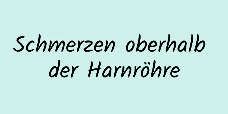 Schmerzen oberhalb der Harnröhre