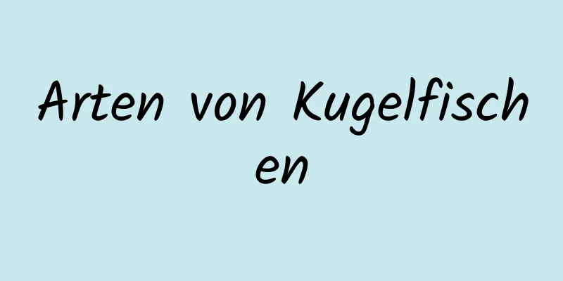 Arten von Kugelfischen