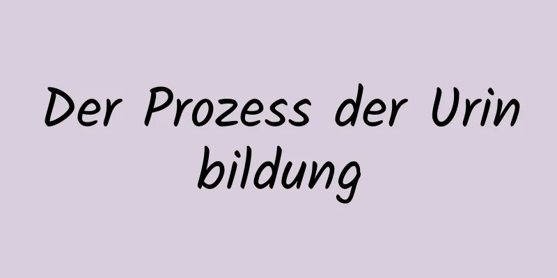 Der Prozess der Urinbildung