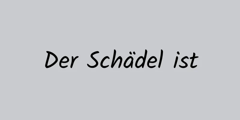 Der Schädel ist