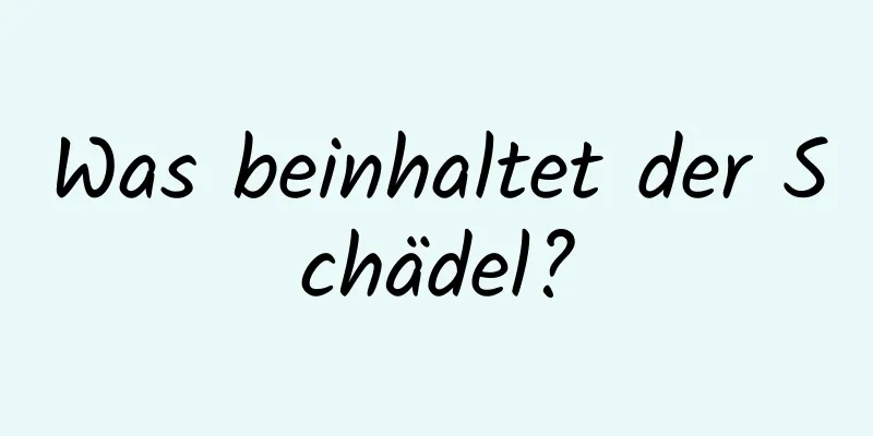 Was beinhaltet der Schädel?