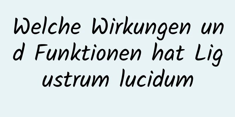 Welche Wirkungen und Funktionen hat Ligustrum lucidum
