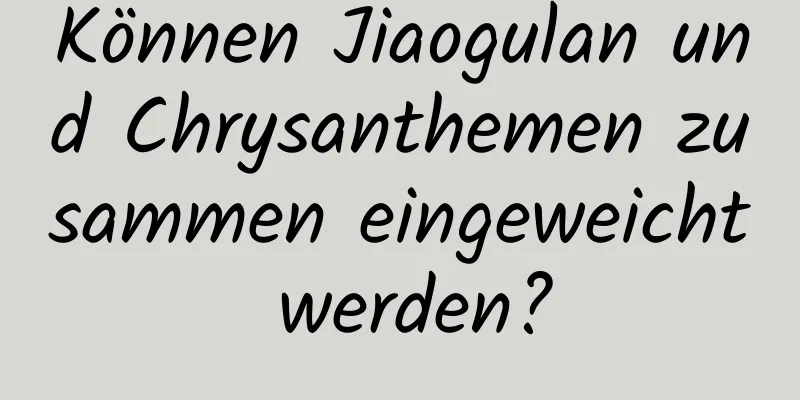Können Jiaogulan und Chrysanthemen zusammen eingeweicht werden?