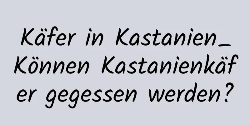 Käfer in Kastanien_Können Kastanienkäfer gegessen werden?