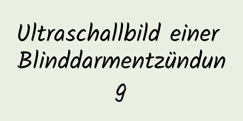 Ultraschallbild einer Blinddarmentzündung