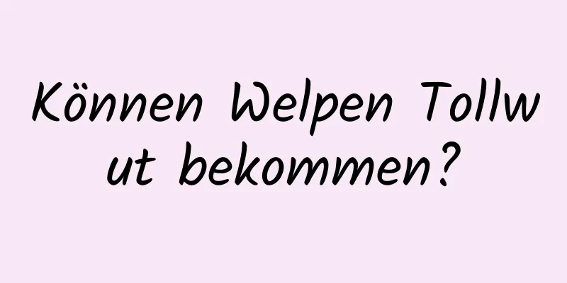 Können Welpen Tollwut bekommen?