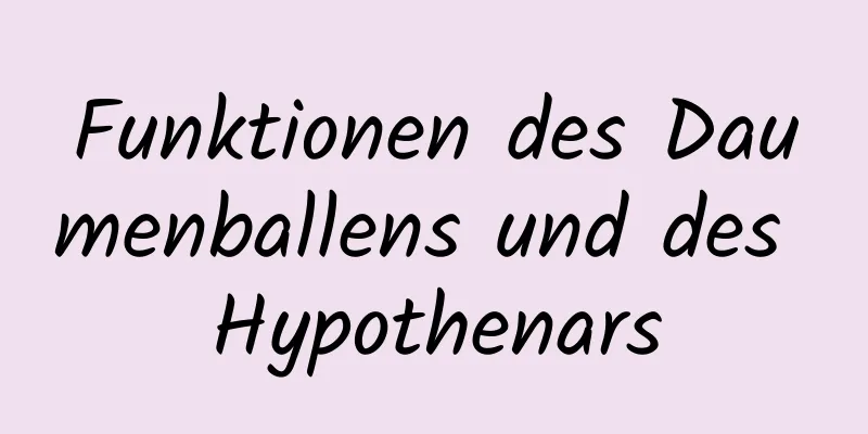 Funktionen des Daumenballens und des Hypothenars