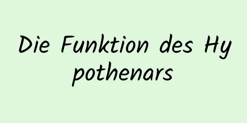 Die Funktion des Hypothenars