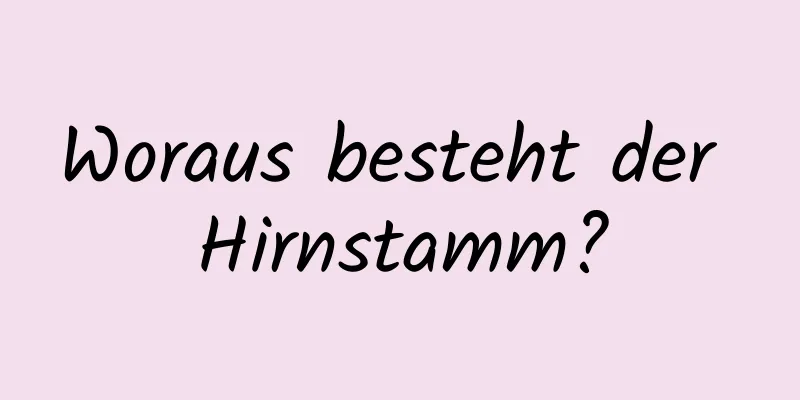 Woraus besteht der Hirnstamm?