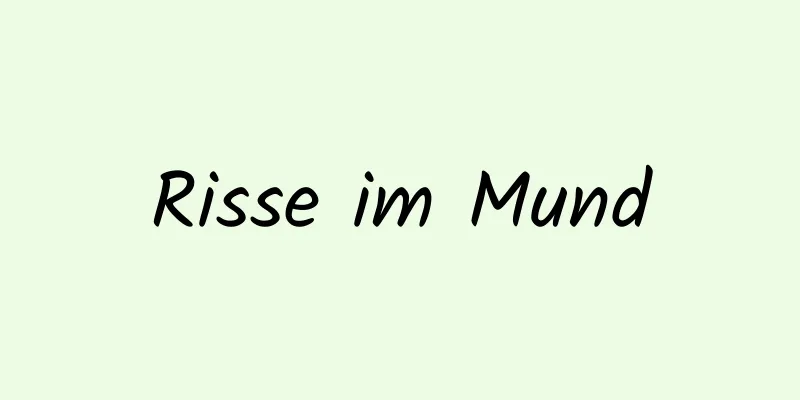 Risse im Mund