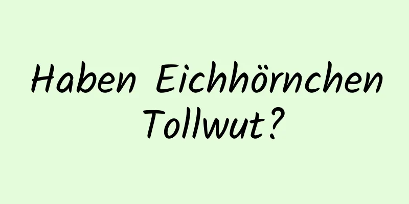Haben Eichhörnchen Tollwut?