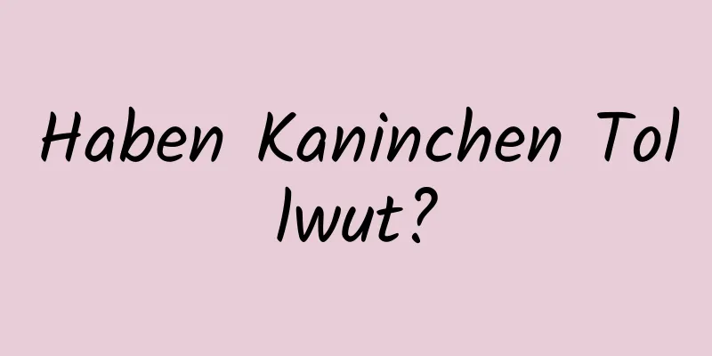 Haben Kaninchen Tollwut?