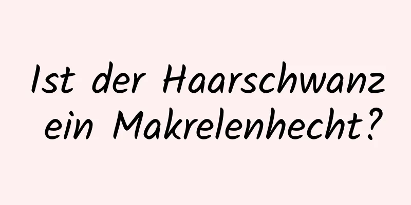 Ist der Haarschwanz ein Makrelenhecht?