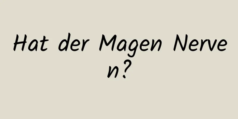 Hat der Magen Nerven?