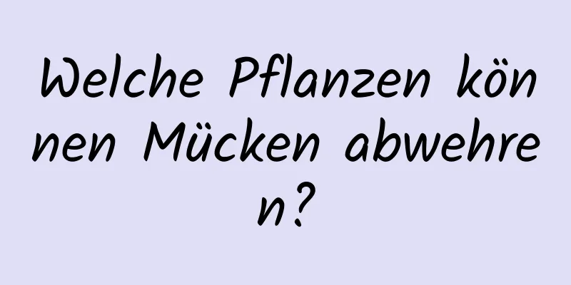 Welche Pflanzen können Mücken abwehren?