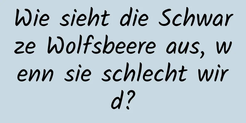 Wie sieht die Schwarze Wolfsbeere aus, wenn sie schlecht wird?