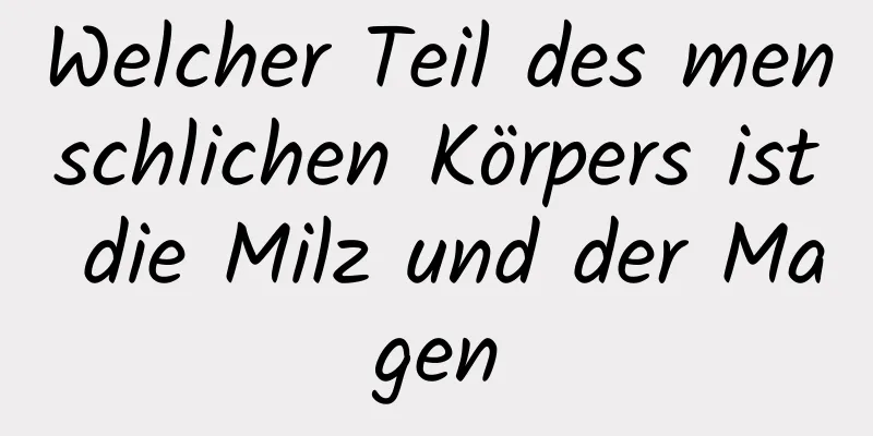 Welcher Teil des menschlichen Körpers ist die Milz und der Magen