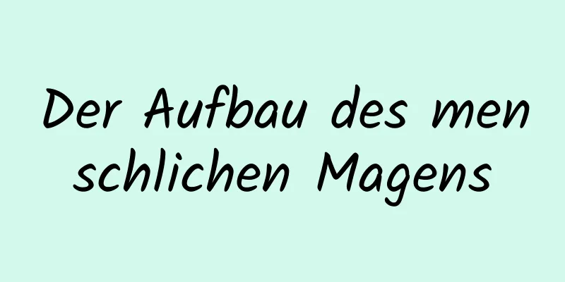 Der Aufbau des menschlichen Magens