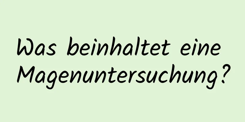 Was beinhaltet eine Magenuntersuchung?