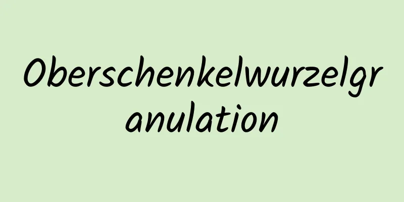 Oberschenkelwurzelgranulation