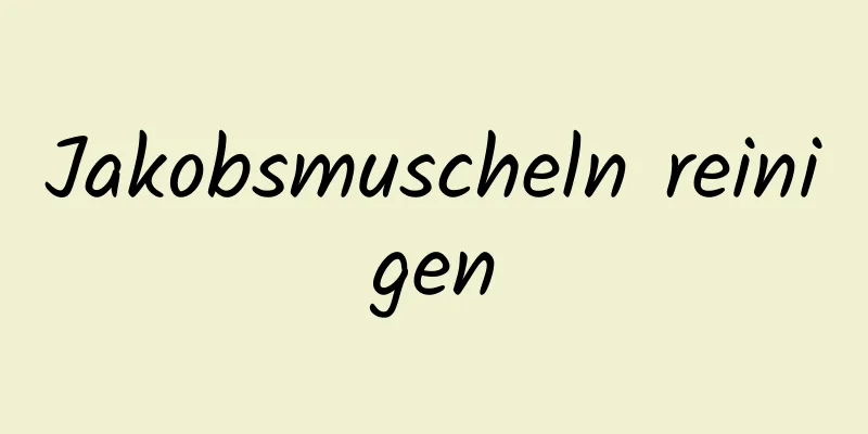 Jakobsmuscheln reinigen