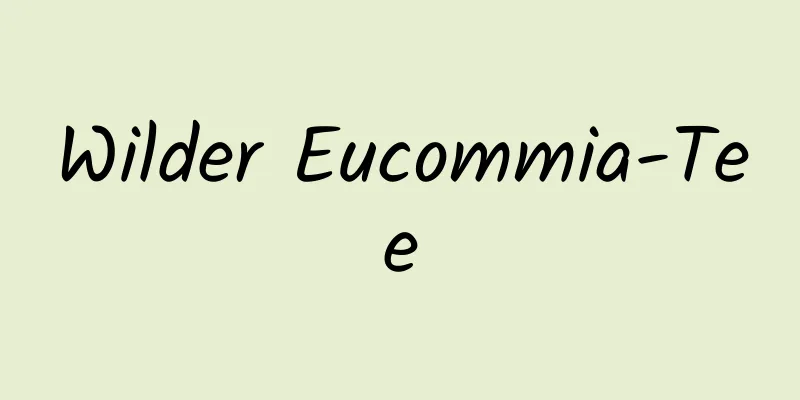 Wilder Eucommia-Tee