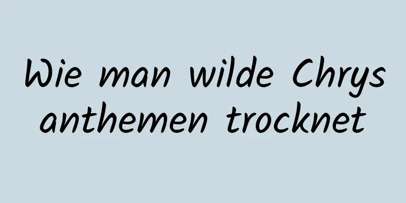 Wie man wilde Chrysanthemen trocknet