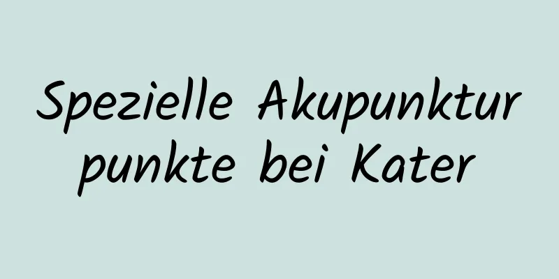 Spezielle Akupunkturpunkte bei Kater