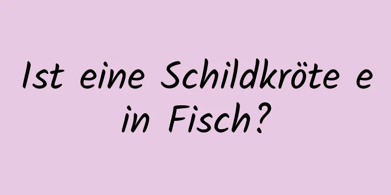 Ist eine Schildkröte ein Fisch?