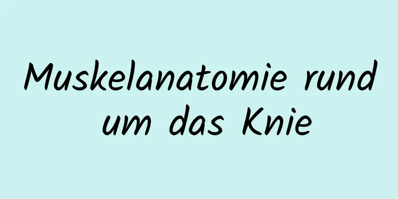 Muskelanatomie rund um das Knie