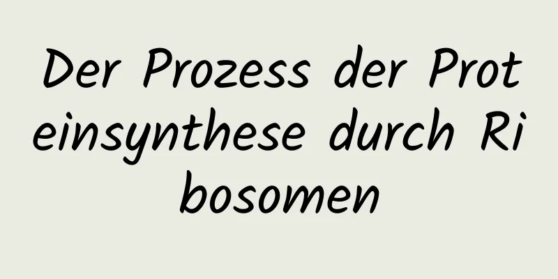Der Prozess der Proteinsynthese durch Ribosomen