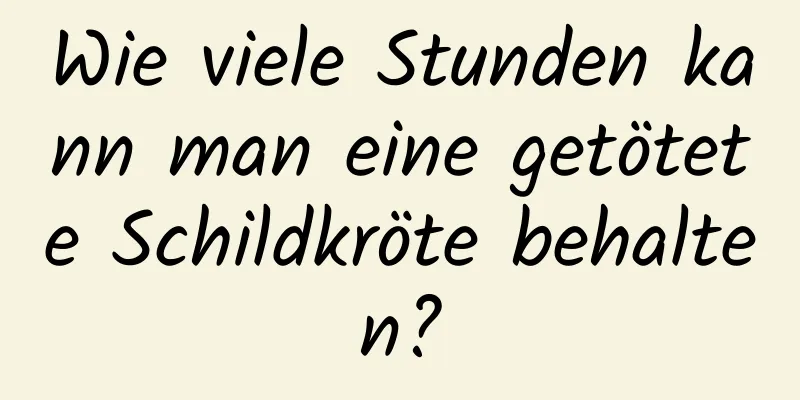 Wie viele Stunden kann man eine getötete Schildkröte behalten?