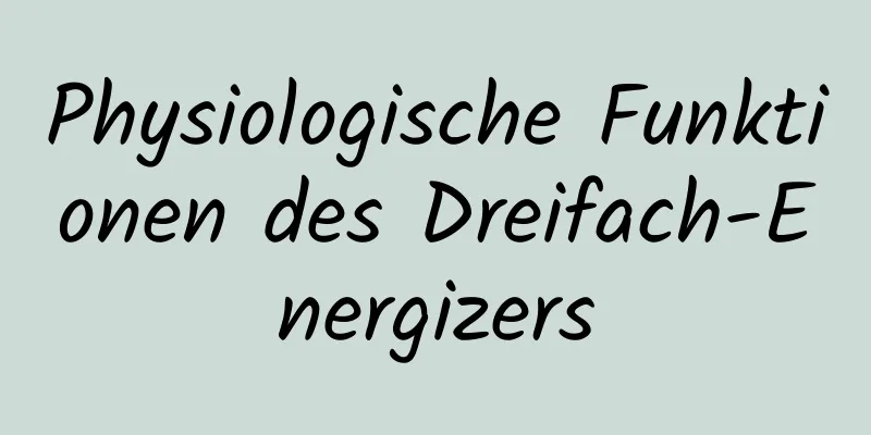 Physiologische Funktionen des Dreifach-Energizers