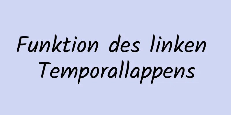 Funktion des linken Temporallappens