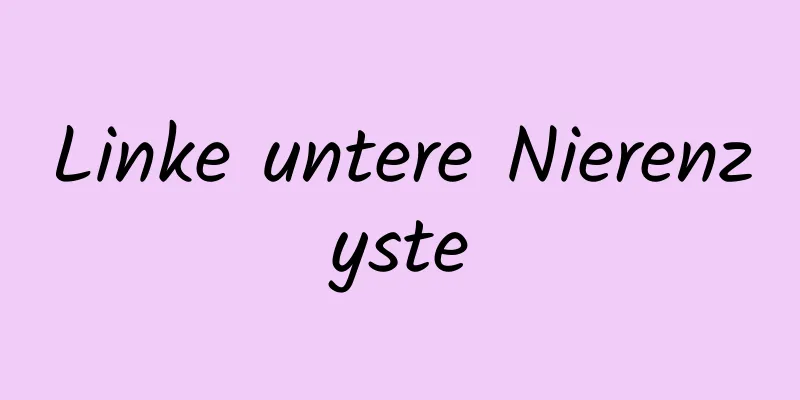 Linke untere Nierenzyste