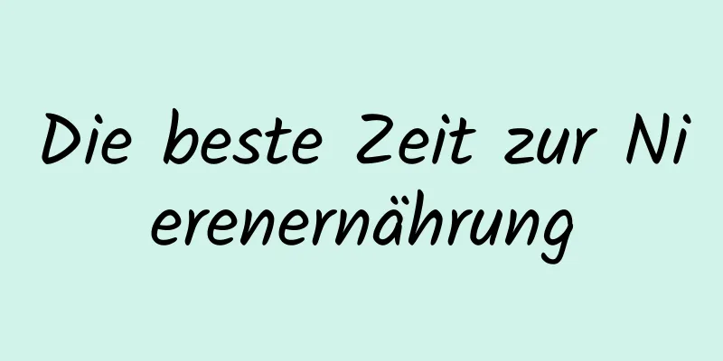 Die beste Zeit zur Nierenernährung