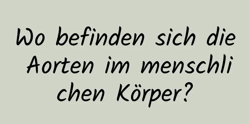 Wo befinden sich die Aorten im menschlichen Körper?